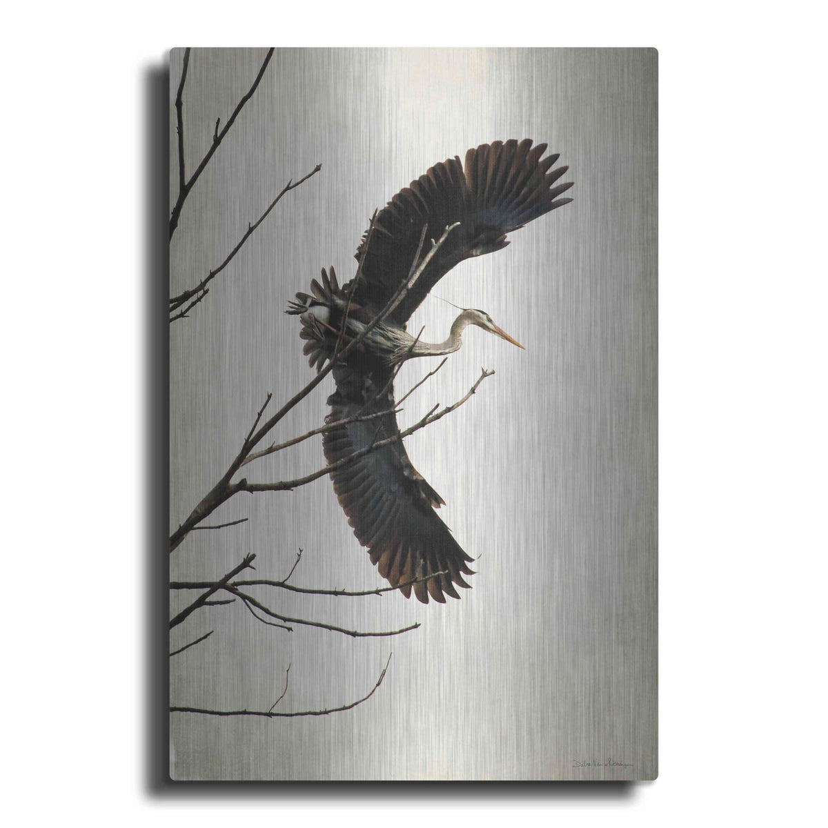 'Grace' by Debra Van Swearingen – Metal Wall Art