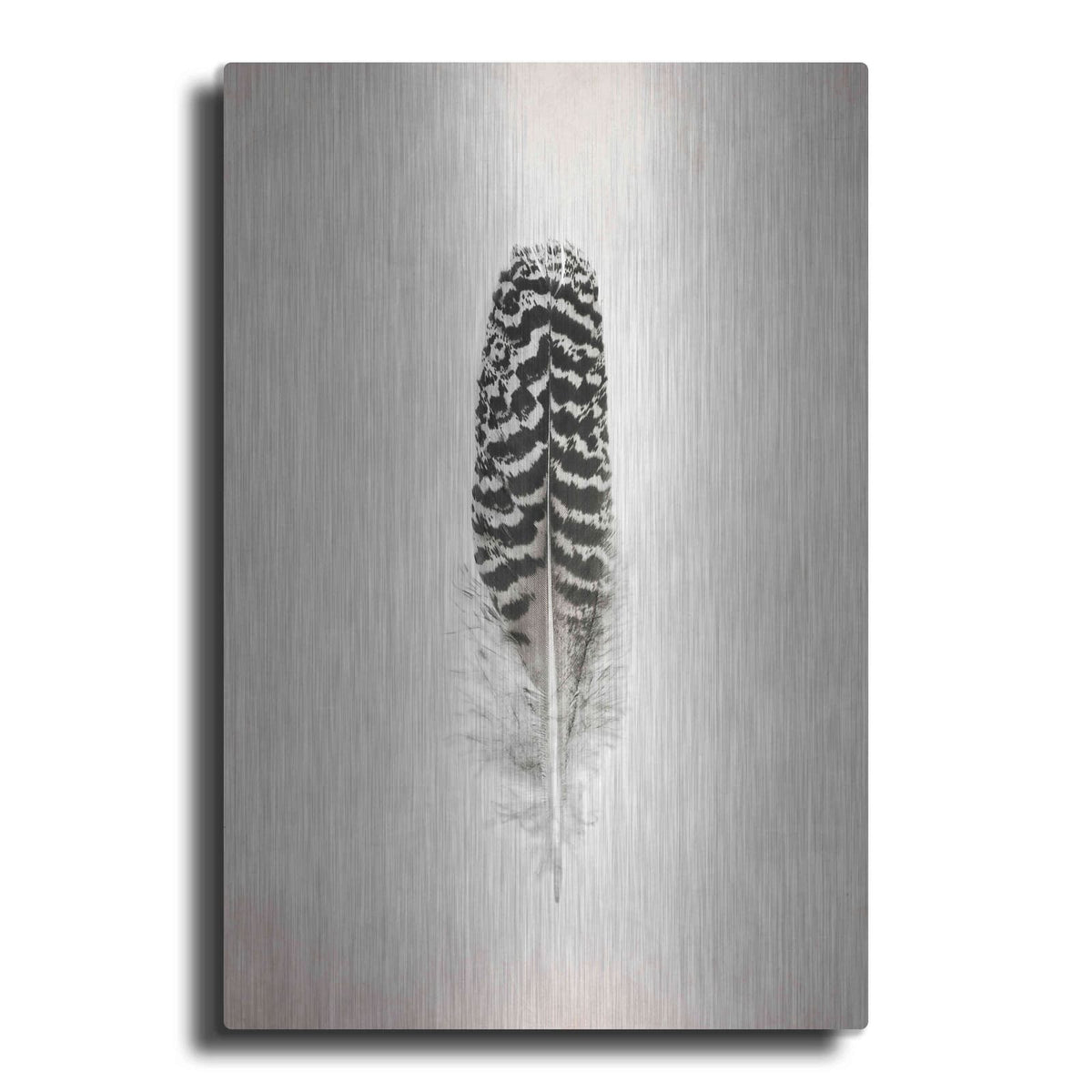 'Feather I B&W' by Debra Van Swearingen – Metal Wall Art