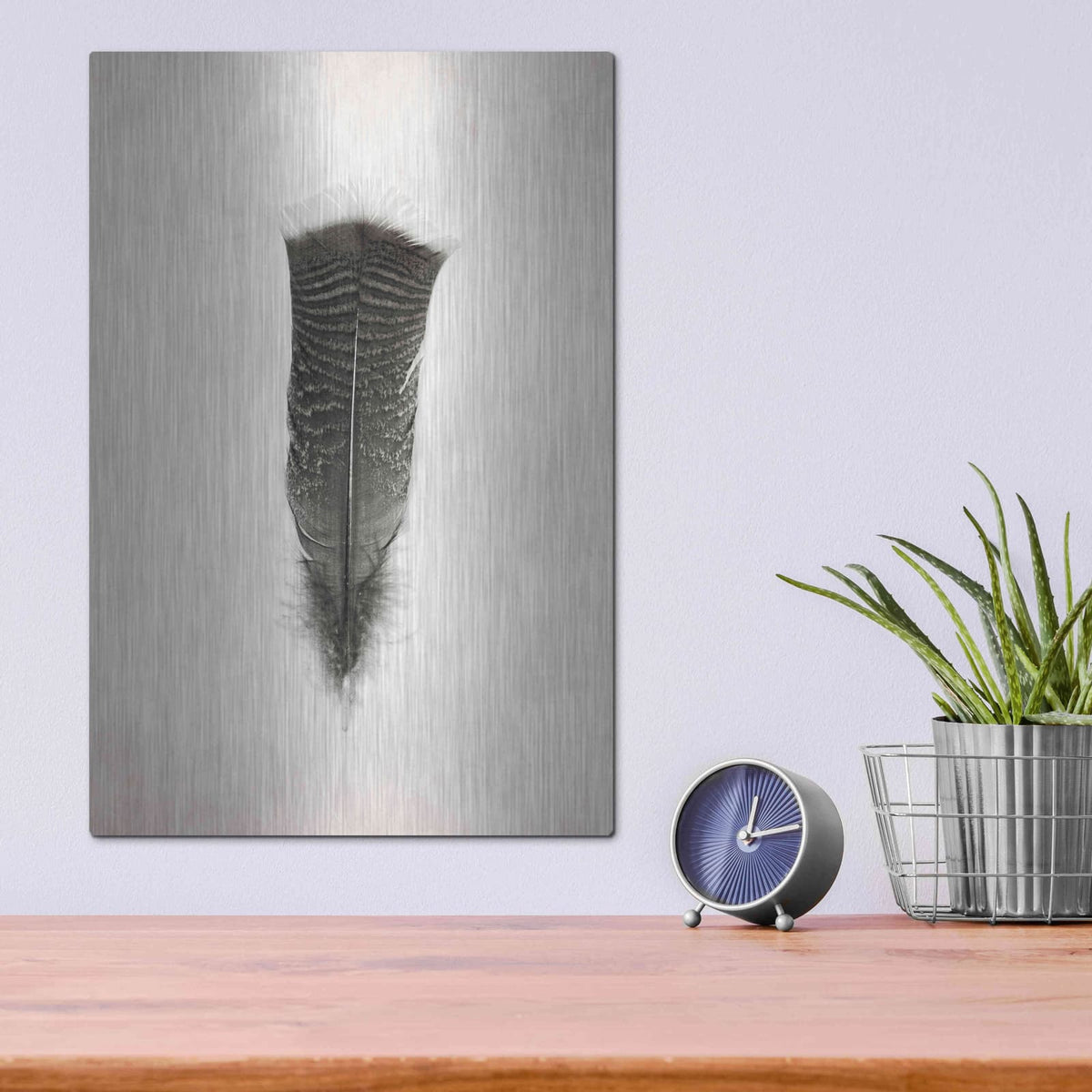 'Feather III B&W' by Debra Van Swearingen – Metal Wall Art, 12x16 room view