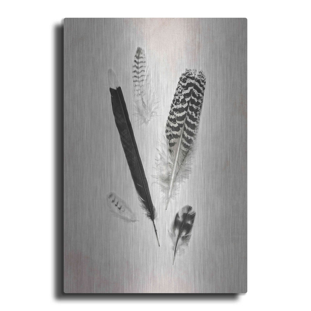 'Feather Group II B&W' by Debra Van Swearingen – Metal Wall Art