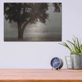 'Calm Mist' by Debra Van Swearingen – Metal Wall Art, 16x12 room view