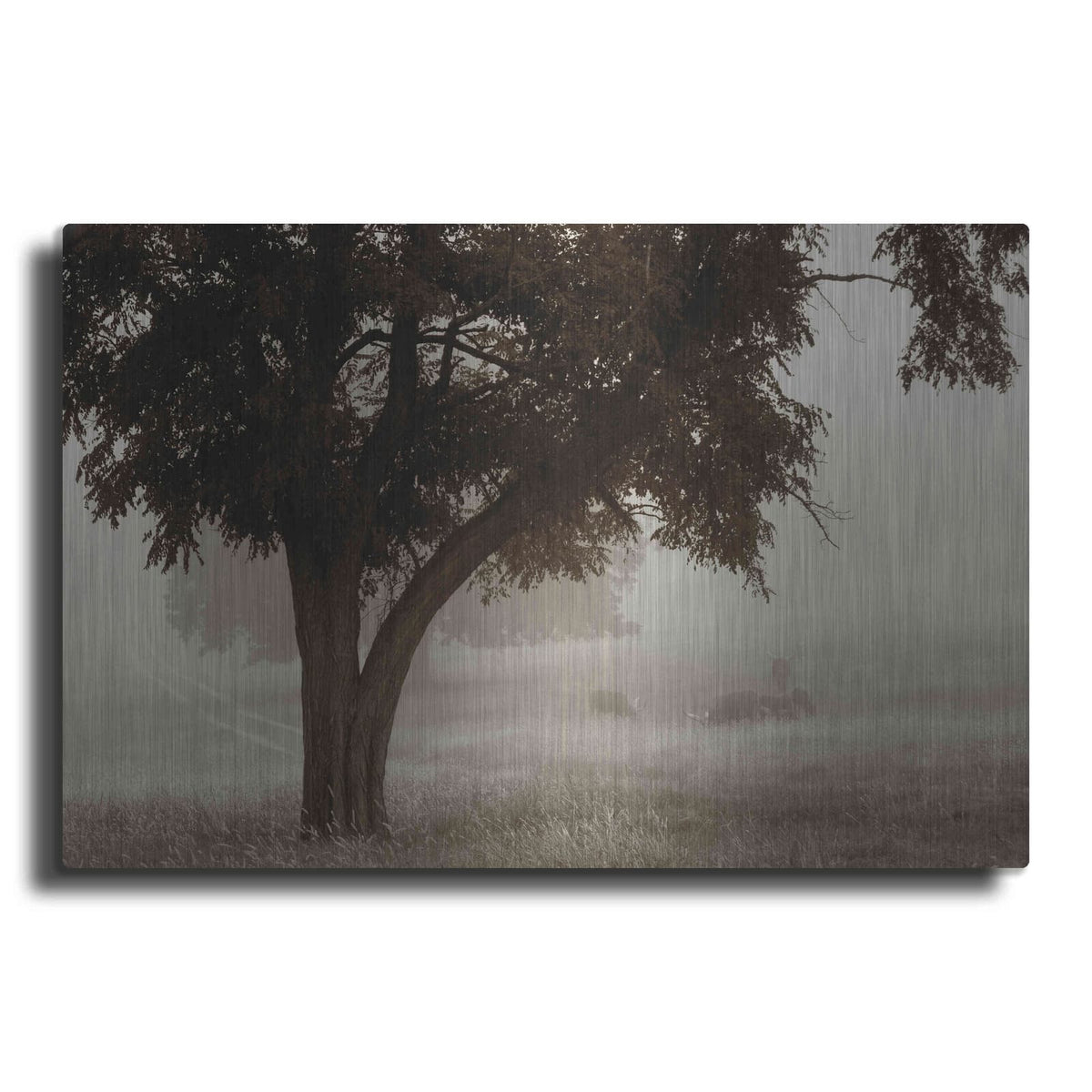'Calm Mist' by Debra Van Swearingen – Metal Wall Art