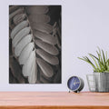 'Tropical Plant I' by Debra Van Swearingen – Metal Wall Art, 12x16 room view