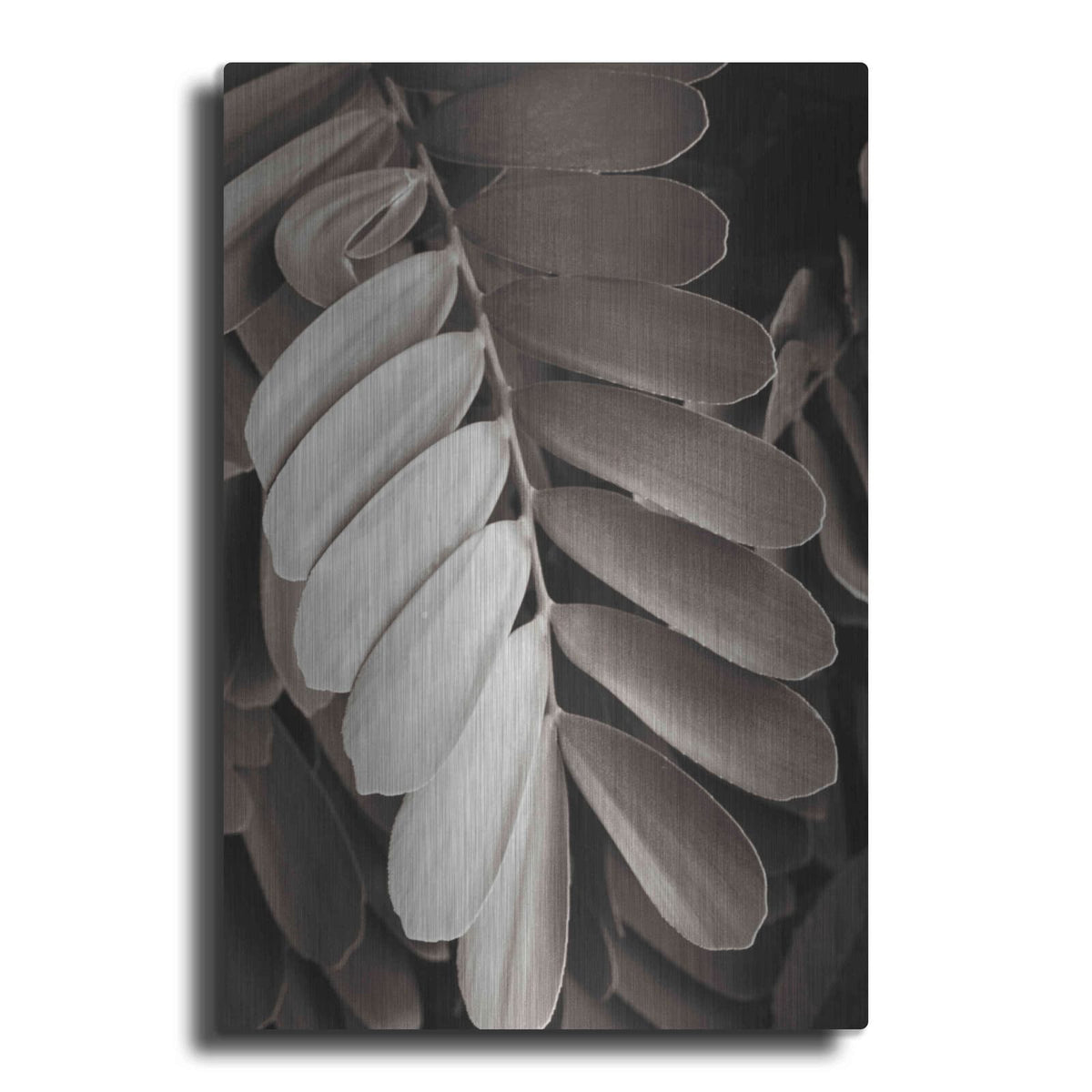 'Tropical Plant I' by Debra Van Swearingen – Metal Wall Art