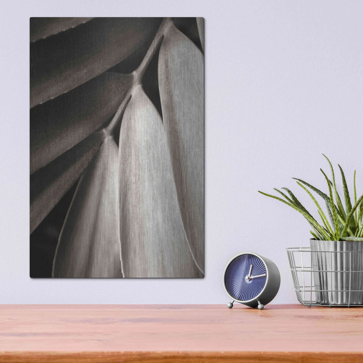 'Tropical Plant II' by Debra Van Swearingen – Metal Wall Art, 12x16 room view