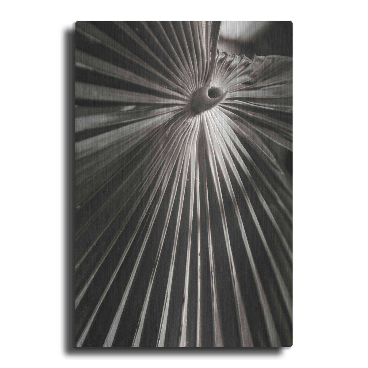 'Palm Frond 1' by Debra Van Swearingen – Metal Wall Art
