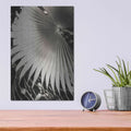 'Palm Frond 2' by Debra Van Swearingen – Metal Wall Art, 12x16 room view