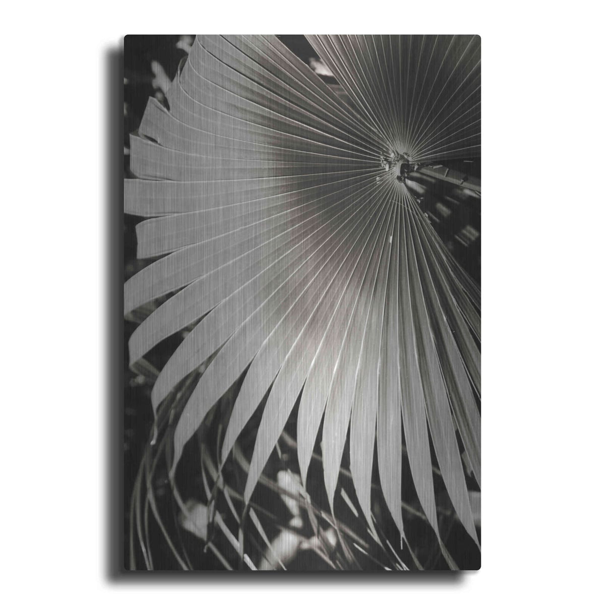'Palm Frond 2' by Debra Van Swearingen – Metal Wall Art