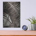 'Fern I' by Debra Van Swearingen – Metal Wall Art, 12x16 room view