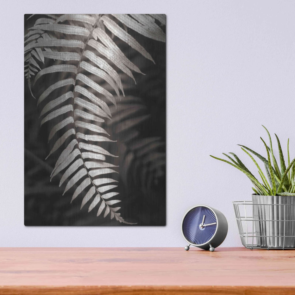 'Fern II' by Debra Van Swearingen – Metal Wall Art, 12x16 room view