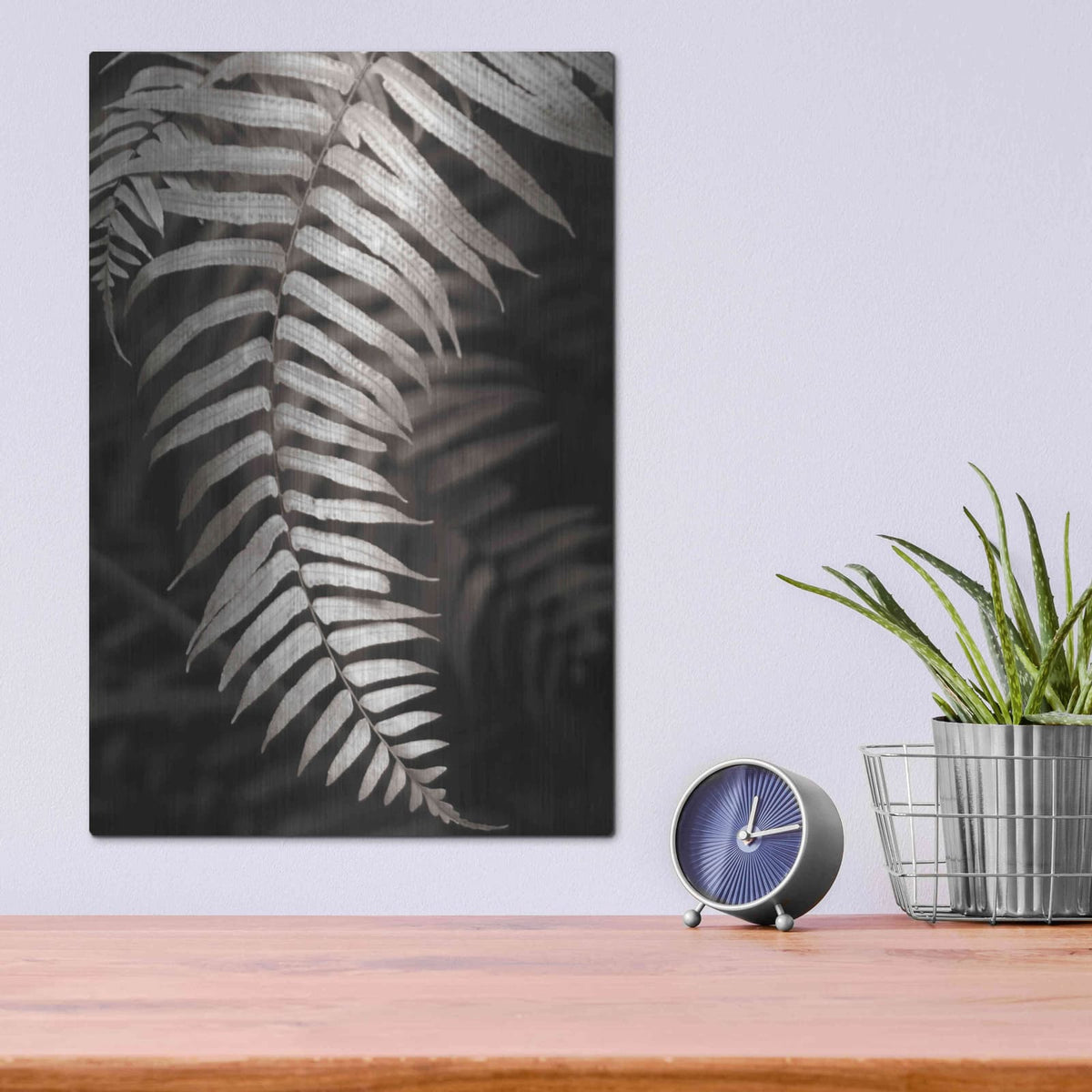 'Fern II' by Debra Van Swearingen – Metal Wall Art, 12x16 room view