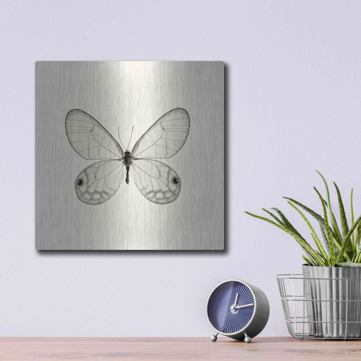 'Butterfly I B&W' by Debra Van Swearingen – Metal Wall Art, 12x12 room view