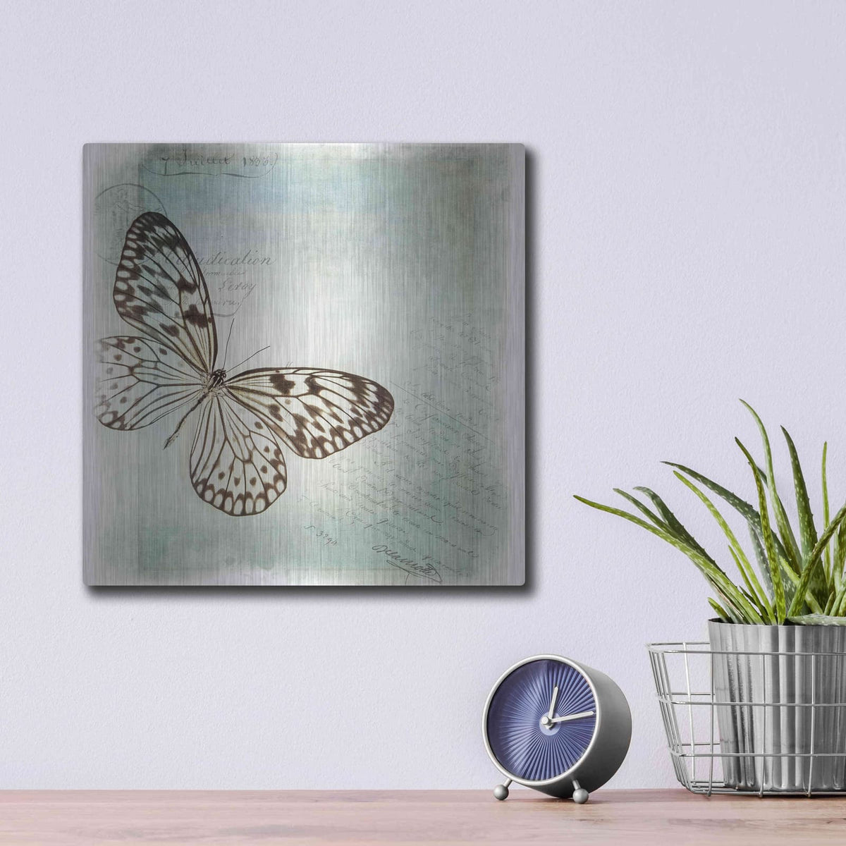 'Floating Butterfly IV' by Debra Van Swearingen – Metal Wall Art, 12x12 room view