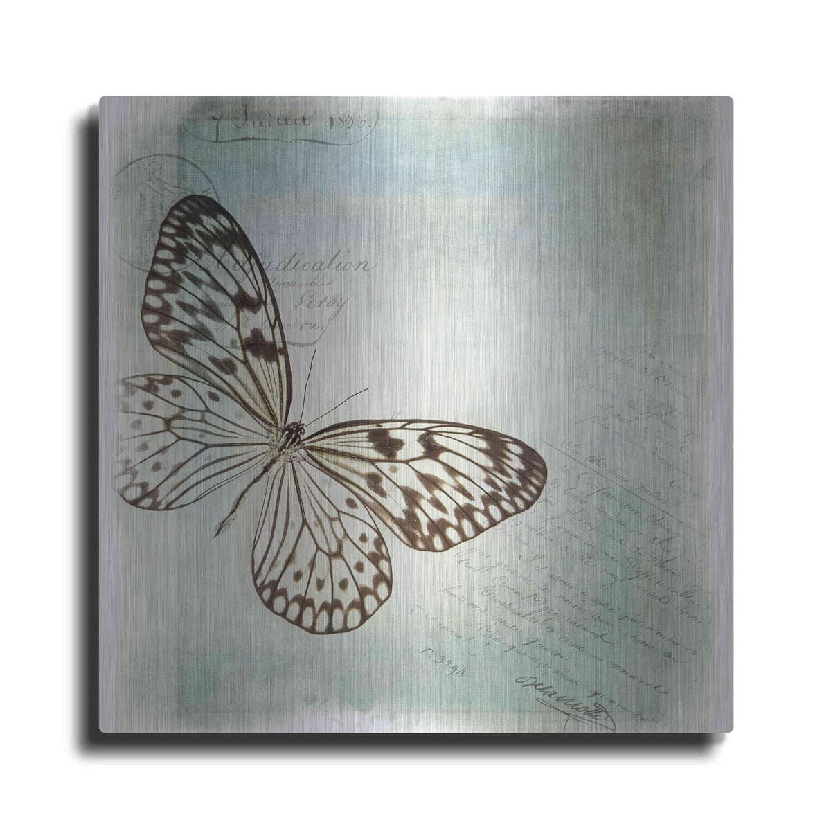 'Floating Butterfly IV' by Debra Van Swearingen – Metal Wall Art