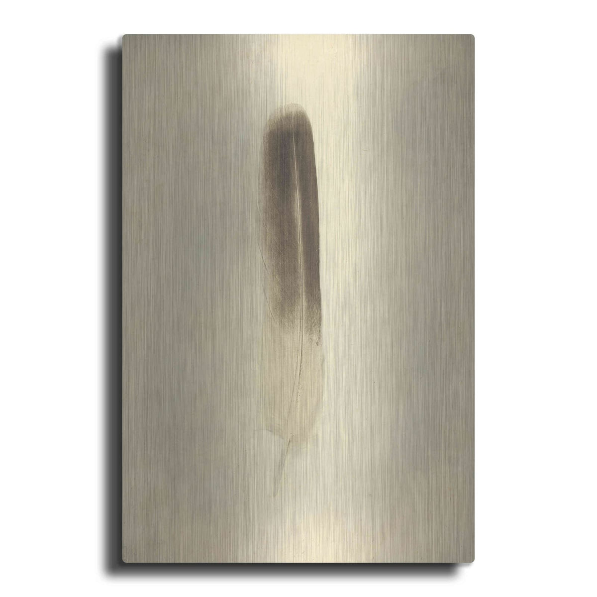'Feather II Vintage' by Debra Van Swearingen – Metal Wall Art