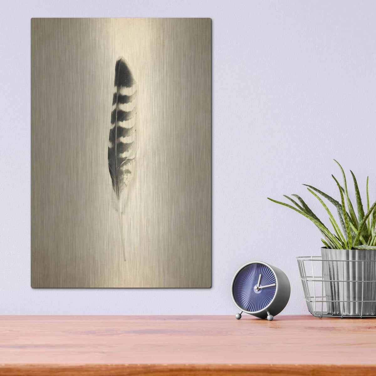 'Feather IV Vintage' by Debra Van Swearingen – Metal Wall Art, 12x16 room view