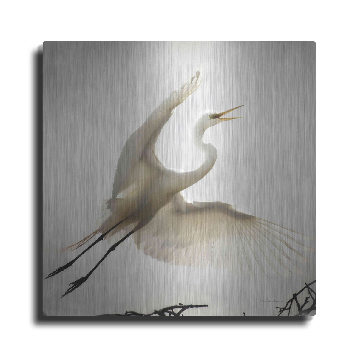 'Emergence' by Debra Van Swearingen – Metal Wall Art