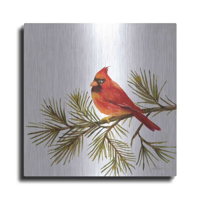 'Cardinal Christmas V on White' by Silvia Vassileva – Metal Wall Art