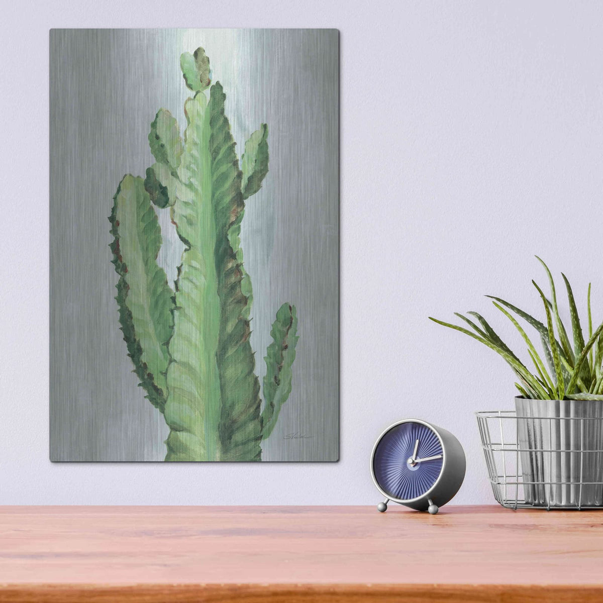 'Front Yard Cactus II Slate' by Silvia Vassileva – Metal Wall Art, 12x16 room view