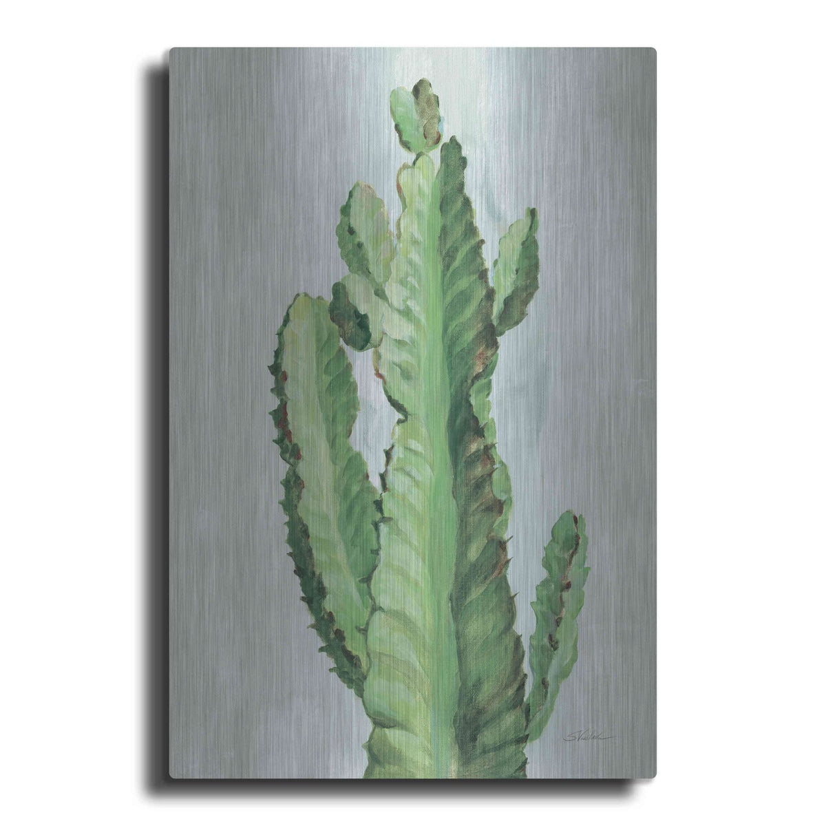 'Front Yard Cactus II Slate' by Silvia Vassileva – Metal Wall Art