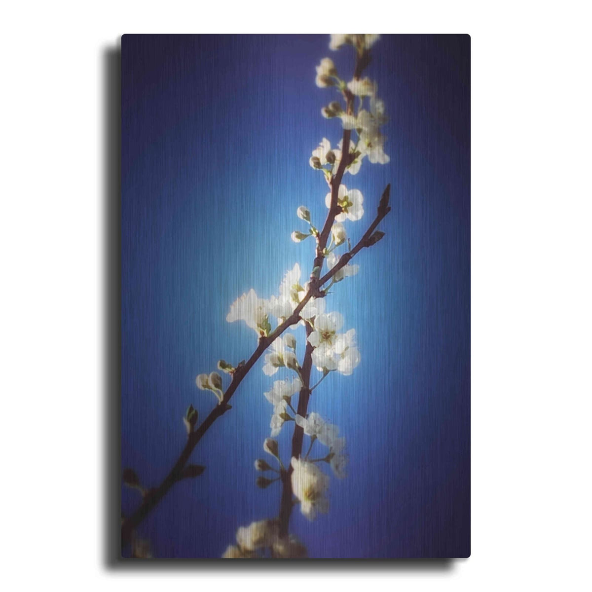 'Almost Blue' by Cesare Bellassai – Metal Wall Art