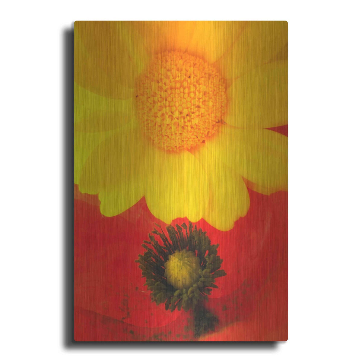 'Spring Love' by Cesare Bellassai – Metal Wall Art