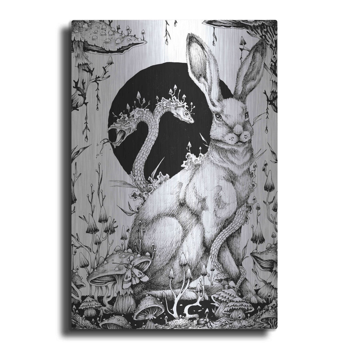 'Hare 2' by Avery Multer – Metal Wall Art