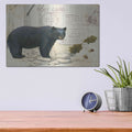 'Northern Wild Bear' by James Wiens – Metal Wall Art, 16x12 room view