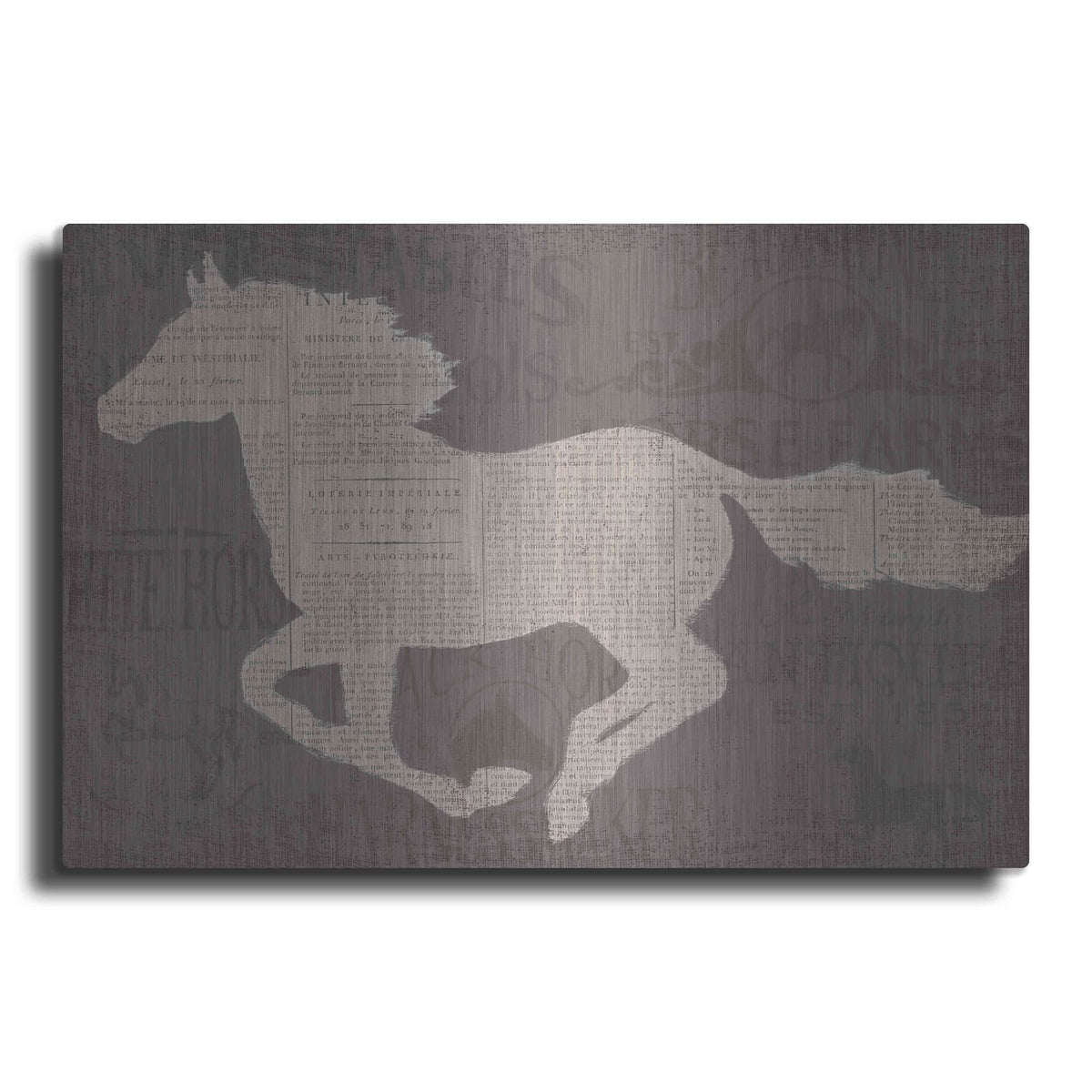 'Equine I' by James Wiens – Metal Wall Art