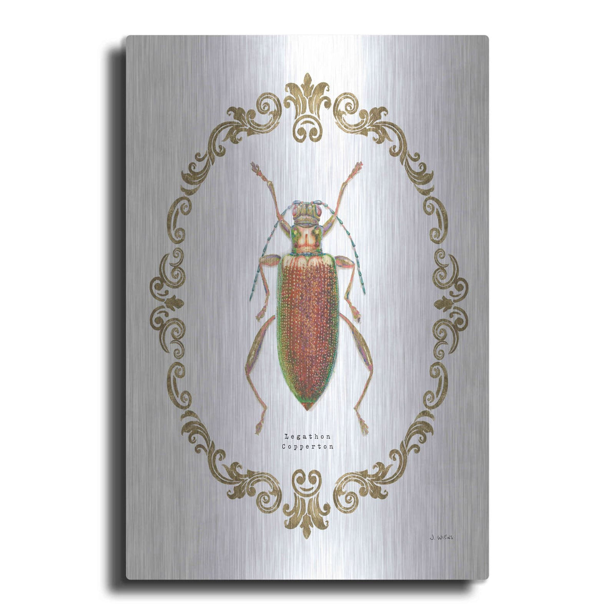 'Adorning Coleoptera VI' by James Wiens – Metal Wall Art