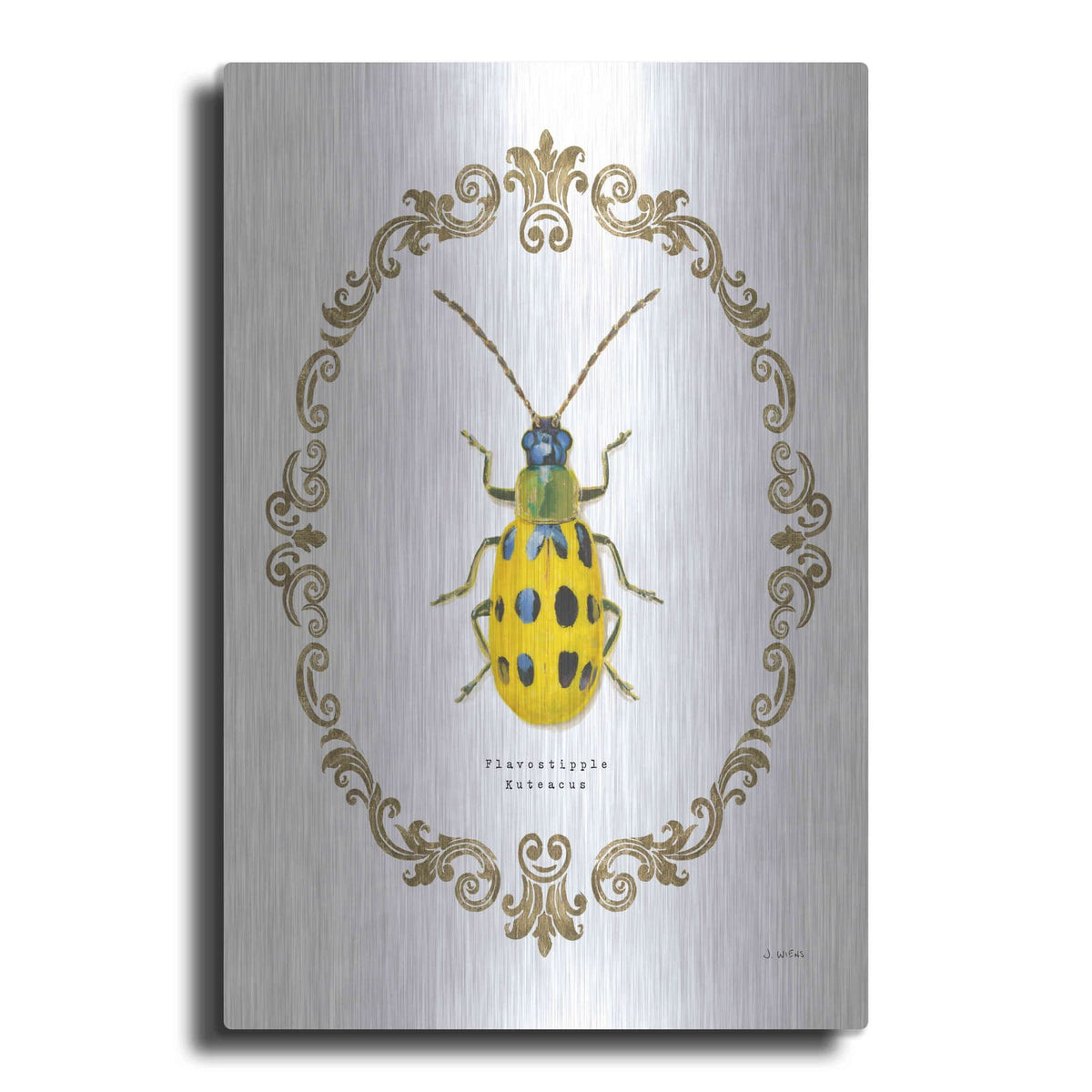 'Adorning Coleoptera VII' by James Wiens – Metal Wall Art