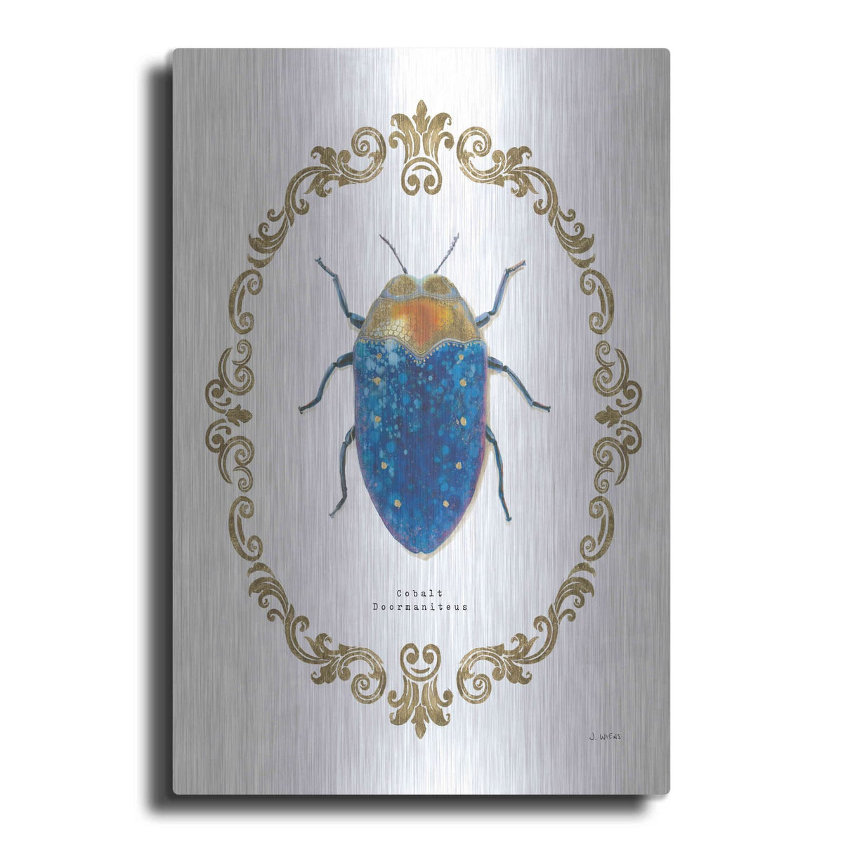 'Adorning Coleoptera V' by James Wiens – Metal Wall Art