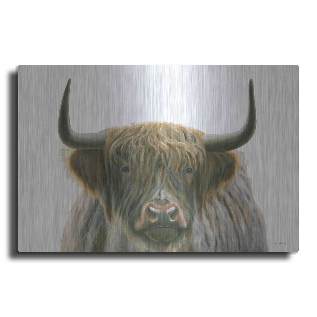 'Highlander' by James Wiens – Metal Wall Art