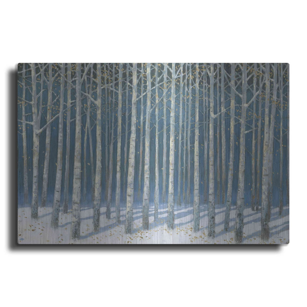 'Shimmering Birches' by James Wiens – Metal Wall Art