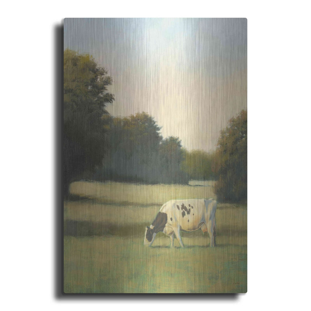 'Morning Meadows I' by James Wiens – Metal Wall Art