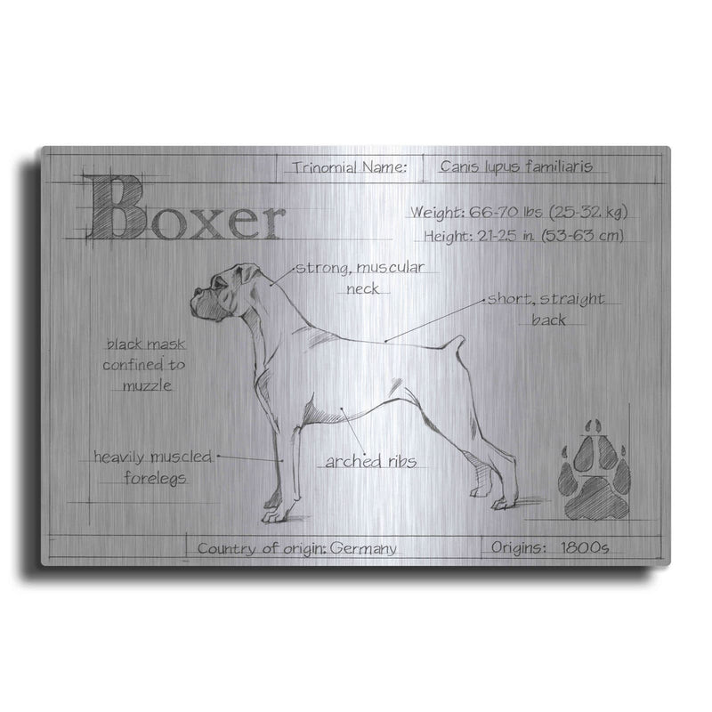 'Inverted Blueprint Boxer' by Ethan Harper – Metal Wall Art