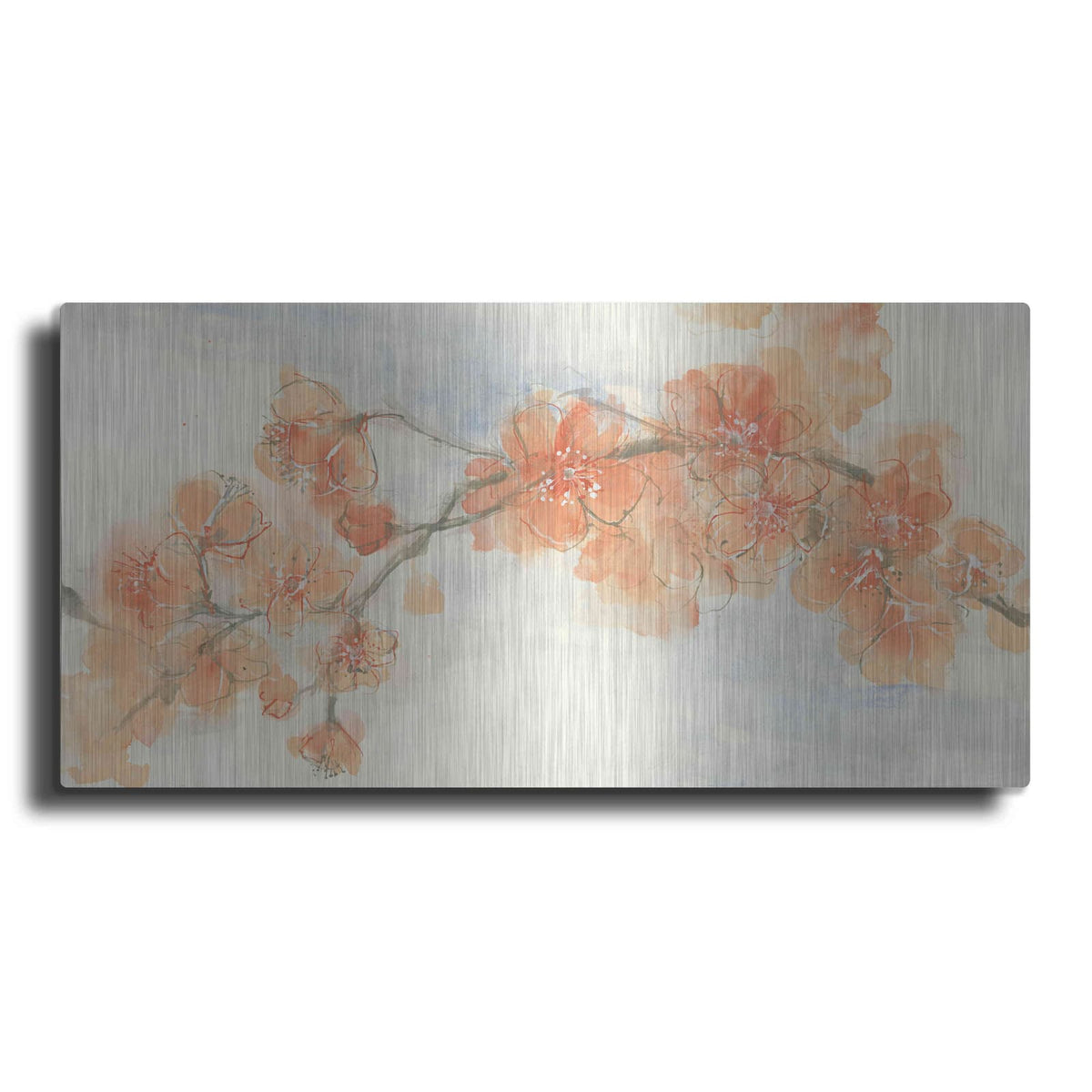 'Peach Blossom II' by Chris Paschke – Metal Wall Art