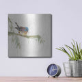 'Finch' by Chris Paschke – Metal Wall Art, 12x12 room view