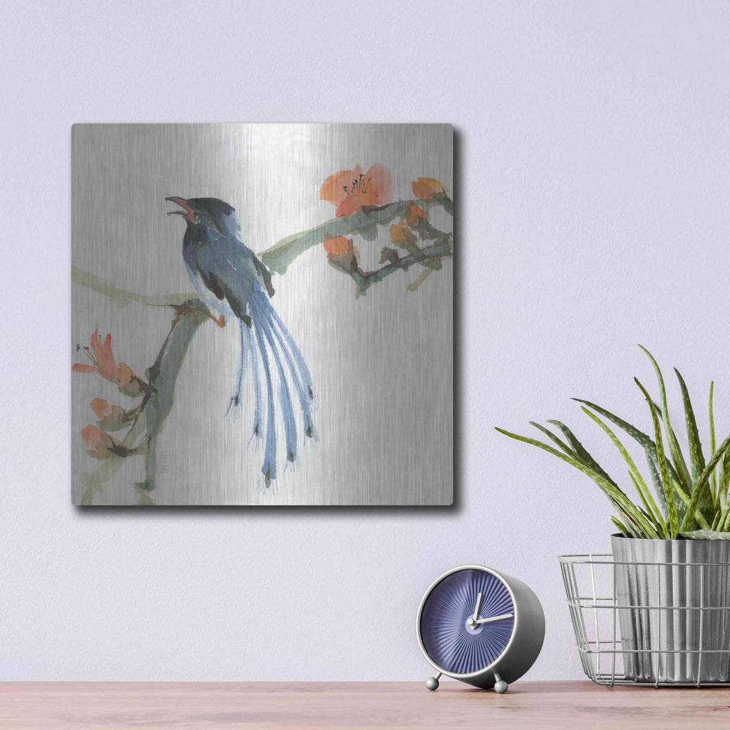 'Formosan Blue Magpie' by Chris Paschke – Metal Wall Art, 12x12 room view