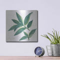'Bay Leaf' by Chris Paschke – Metal Wall Art, 12x12 room view