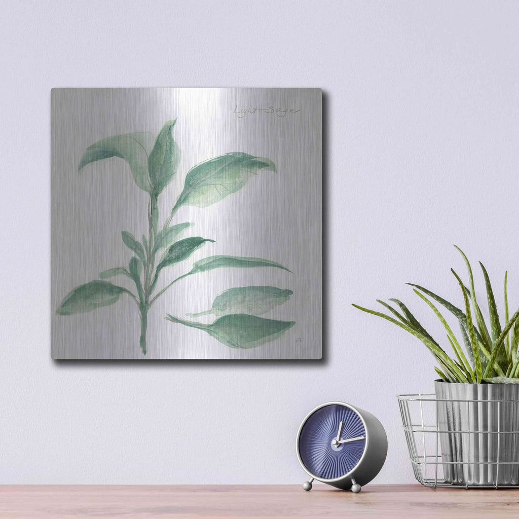 'Sage II' by Chris Paschke – Metal Wall Art, 12x12 room view