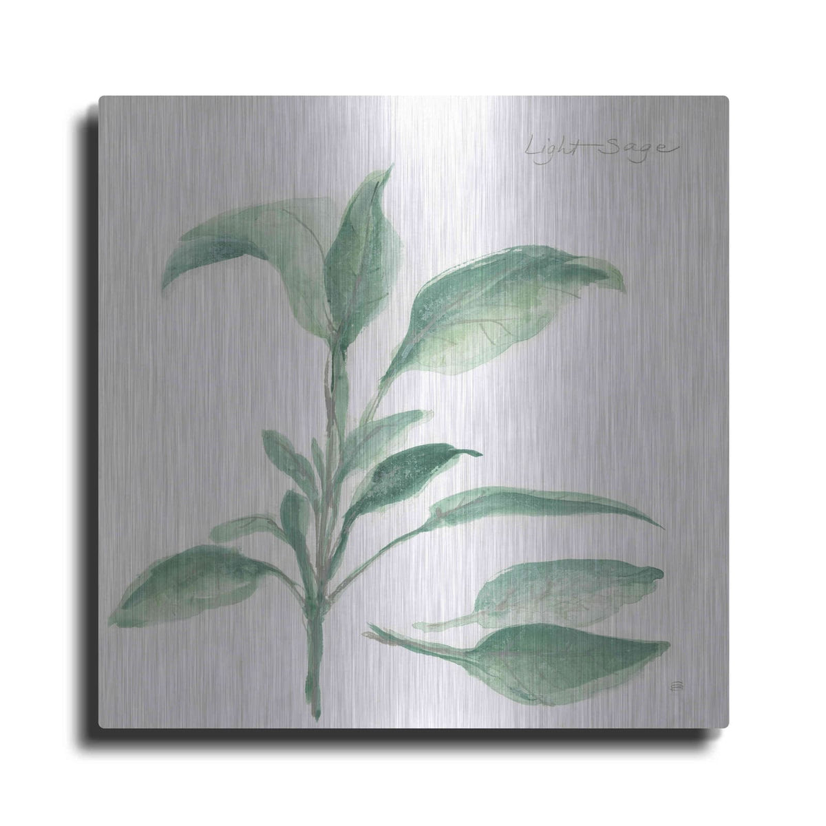 'Sage II' by Chris Paschke – Metal Wall Art