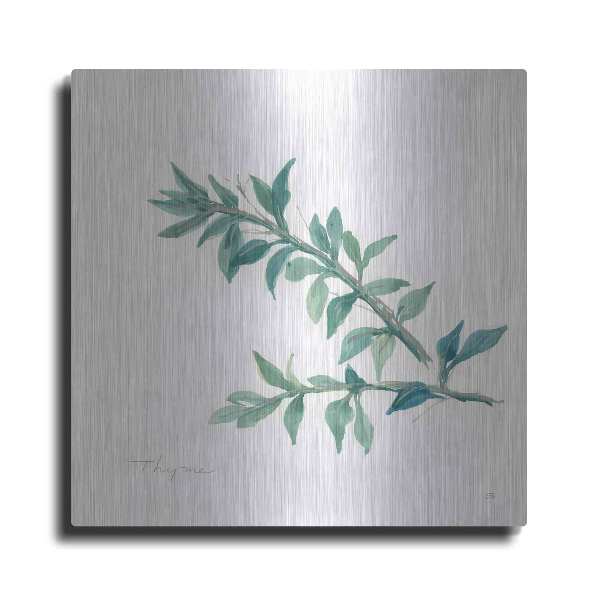 'Thyme' by Chris Paschke – Metal Wall Art