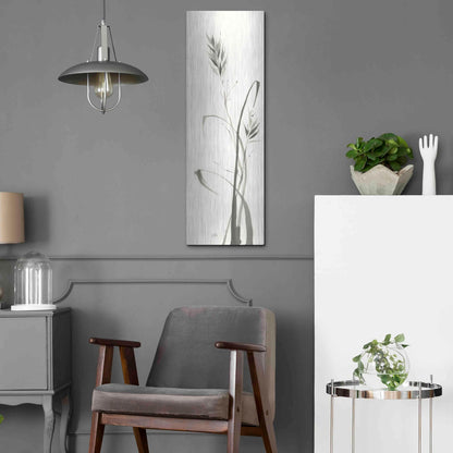 Luxe Metal Art 'Wild Grass II' by Chris Paschke, Metal Wall Art,12x36