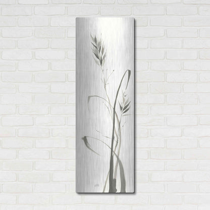 Luxe Metal Art 'Wild Grass II' by Chris Paschke, Metal Wall Art,16x48