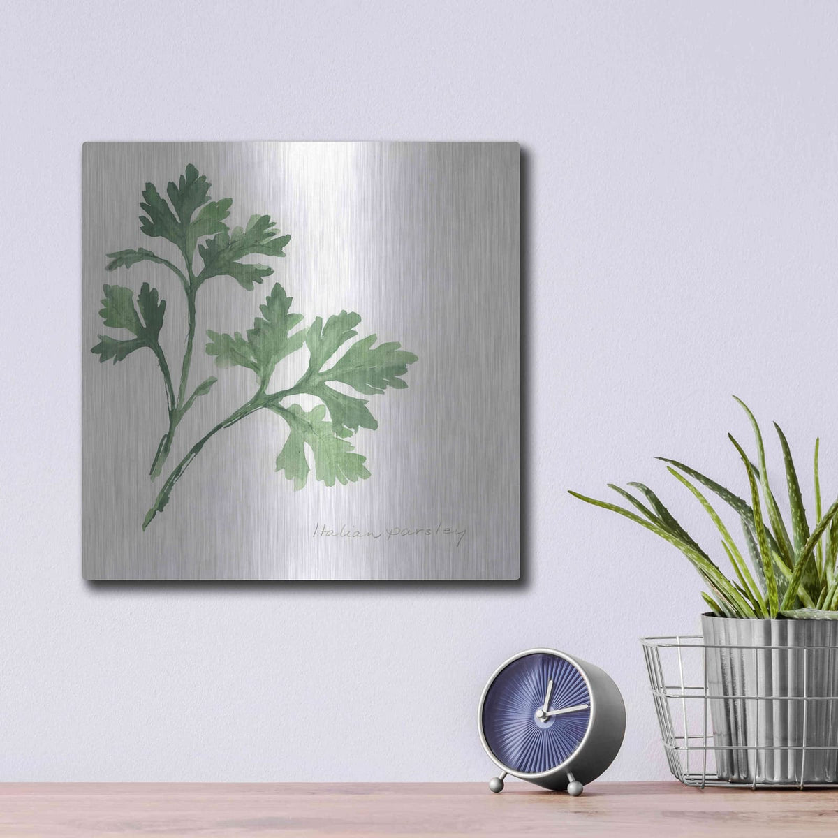 'Italian Parsley' by Chris Paschke – Metal Wall Art, 12x12 room view