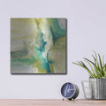 'Perfection' by Chris Paschke – Metal Wall Art, 12x12 room view
