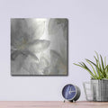 'Gray And Silver Flowers I' by Chris Paschke – Metal Wall Art, 12x12 room view