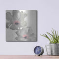 'Gray Blush Cosmos I' by Chris Paschke – Metal Wall Art, 12x12 room view