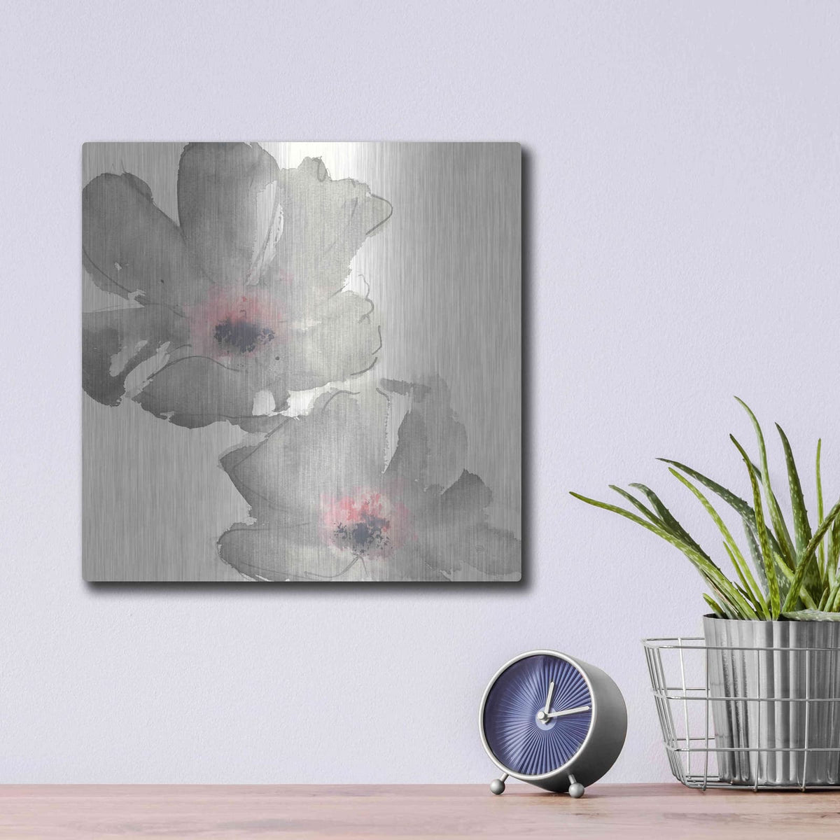 'Gray Blush Cosmos I' by Chris Paschke – Metal Wall Art, 12x12 room view